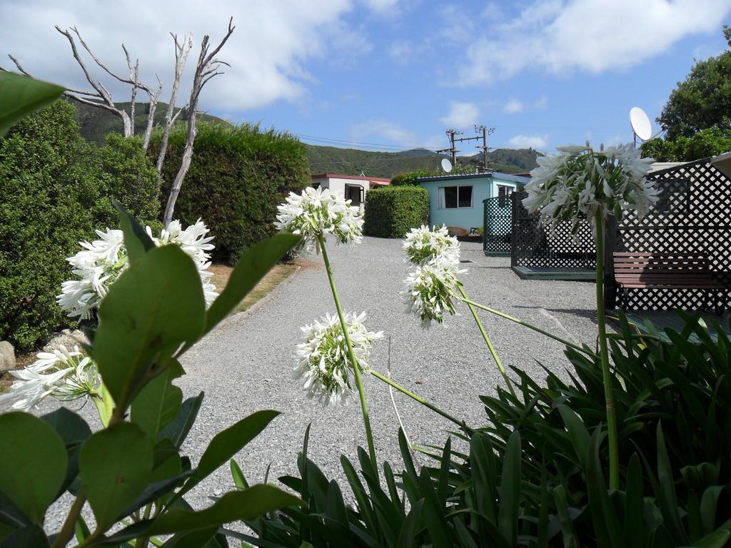 Picton'S Waikawa Bay Holiday Park Екстериор снимка